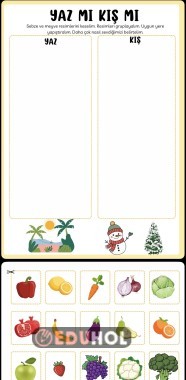 Mevsimine Göre Tüketiyorum- Kış Yaz meyve sebze kes yapıştır