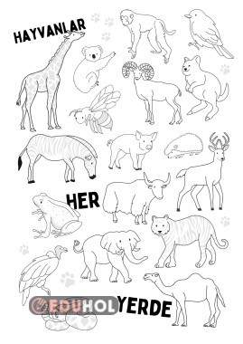 Hayvan Boyama Sayfası