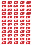 29 Ekim için minik Türk Bayrağı