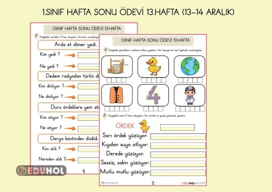 1.SINIF HAFTA SONU ÖDEVİ 13.HAFTA ( 13-14 ARALIK İÇİN)