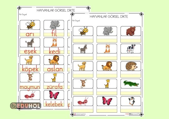 1.SINIF HAYVANLAR GÖRSEL DİKTE ETKİNLİĞİ