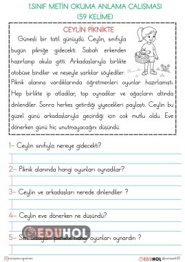 1.SINIF OKUMA ANLAMA METİNLERİ-CEYLİN PİKNİKTE (59 KELİME)