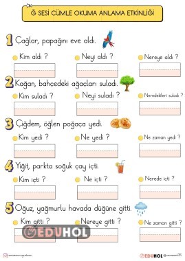 Ğ SESİ CÜMLE OKUMA ANLAMA ETKİNLİĞİ