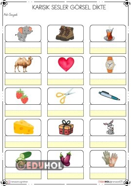 KARIŞIK SESLER GÖRSEL DİKTE ETKİNLİĞİ