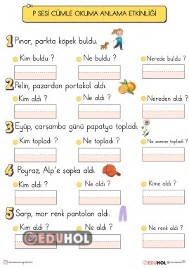 P SESİ CÜMLE OKUMA ANLAMA ETKİNLİĞİ