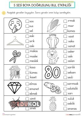 S SESİ BOYA - OKU GÖRSELİN İSMİNİ BUL ETKİNLİĞİ