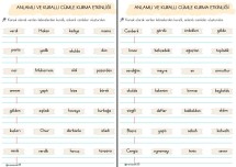1.SINIF ANLAMLI VE KURALLI CÜMLE KURMA ETKİNLİĞİ