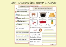 1.SINIF HAFTA SONU ÖDEVİ 12.HAFTA ( 6-7 ARALIKİÇİN)