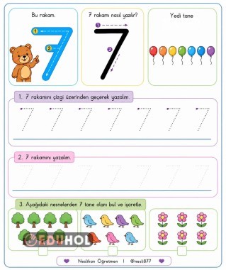 Özel eğitim matematik 7 kakamını öğreniyorum etkinliği
