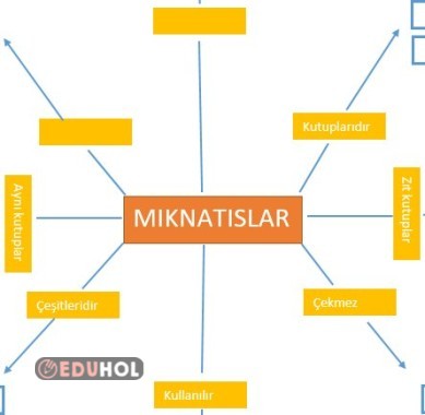 4. SINIF MIKNATISLAR KAVRAM HARİTASI