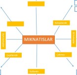 4. SINIF MIKNATISLAR KAVRAM HARİTASI
