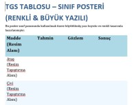 4. SINIF MIKNATISLAR TAHMİN GÖZLEM SONUÇ TABLOSU