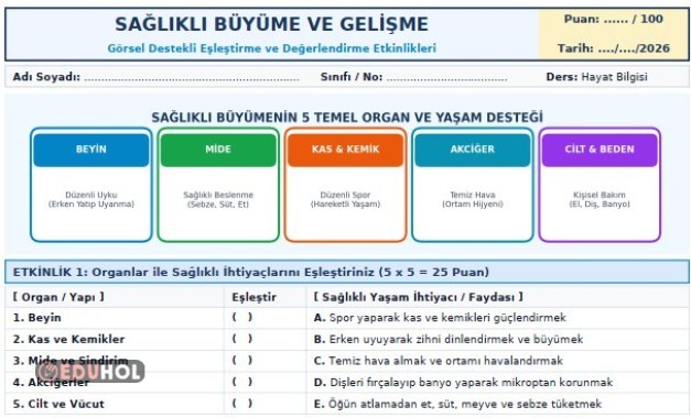 2.Sınıf_Hayat_Bilgisi_2_Sağlıklı_Büyüme_Karma_degerlendirme_sayfasi_v2