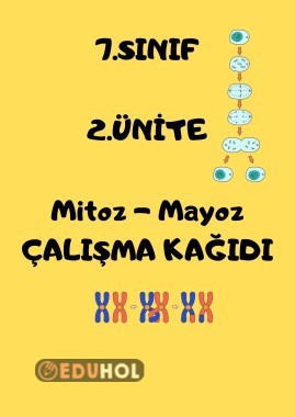 Eşleştirme - test sorularından oluşan çalışma kağıdı