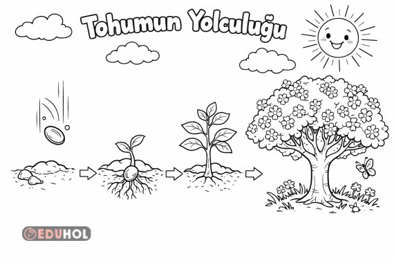Tohumun yolculuğu boyama-2