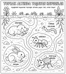 toprağın altında yaşayan hayvanlar