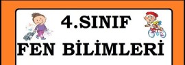 Besinlerimiz Ve Kuvvetin Etkileri Üniteleri Tekrar 🫠🫠🫠