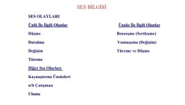 Ses Bilgisi Konusu İle İlgili Hap Bilgiler 🫠