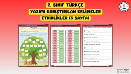 2. SINIF TÜRKÇE YAZIMI KARIŞTIRILAN KELİMELER ETKİNLİKLER (3 SAYFA)