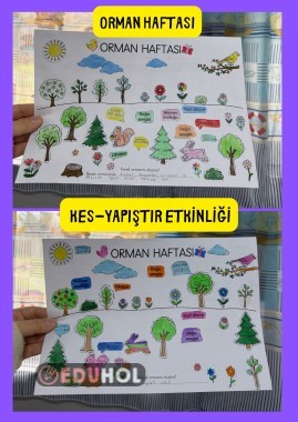 Orman Haftası Kes-Yapıştır Etkinliği