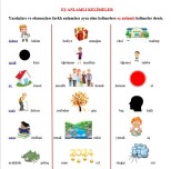 EŞ ANLAMLI KELİMELER