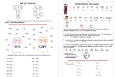 TEK-ÇİFT VE ROMEN RAKAMLARI ETKİNLİK