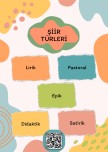 Şiir  Türleri