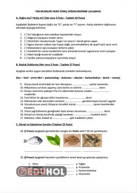 4. Sınıf Fen Bilimleri 1. Dönem Süreç Değerlendirme