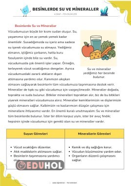 4.sınıf Fen Bilimleri Besinlerde Su ve Mineraller - Pekiştirme Çalışmaları