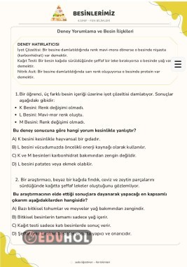 4.sınıf Fen Bilimleri Konu Tarama Testi - zor seviye