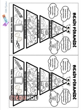 BESİN PİRAMİDİ KES YAPIŞTIR BOYA