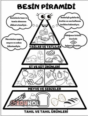 BESİN PİRAMİDİ YAPIŞTIR BOYA ETKİNLİK