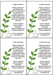 Öğretmenden annelere kutlama kartı