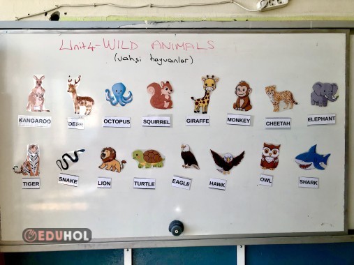 Wild animals flashcards