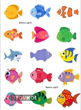 RAKAM - BALIK EŞLEŞTİRME