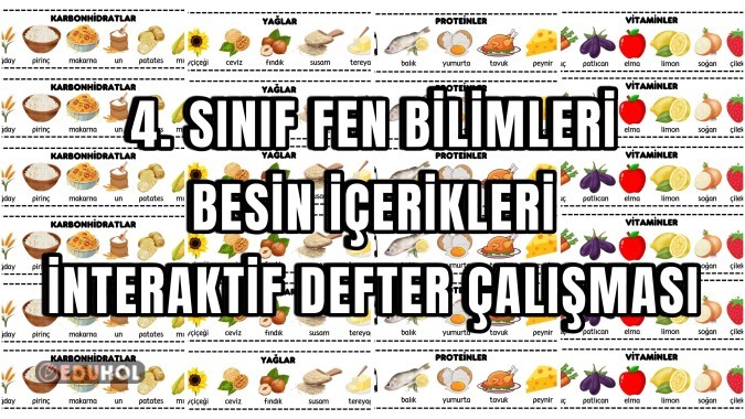 4. Sınıf Fen Bilimleri Besin İçerikleri İnteraktif Defter Çalışması