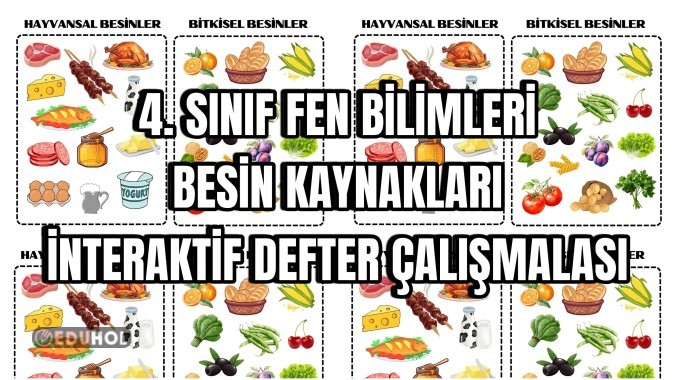 4. Sınıf Fen Bilimleri Besin Kaynakları İnteraktif Defter Çalışması
