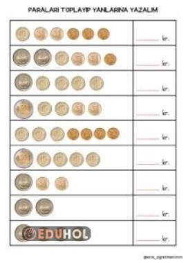 Kuruşların Toplamını Bulma