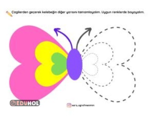 Simetri Çalışması-Kelebeği Tamamlama