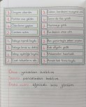 Olayların Oluş Sırası Defter Çalışması