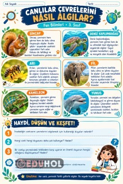 Canlılar Çevrelerini Nasıl Algılar