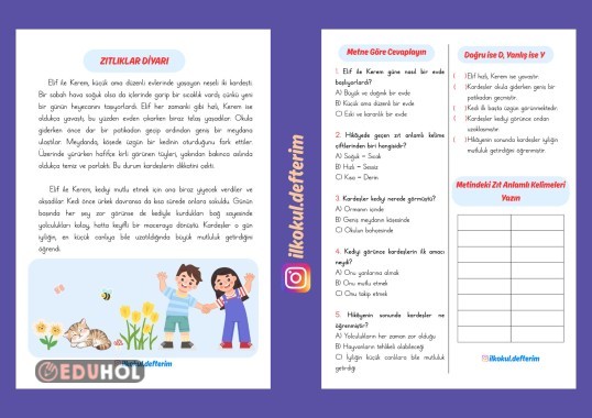 Zıtlıklar Diyarı adlı okuduğunu anlama metni