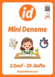 3.Sınıf Mini Deneme - 29.Hafta