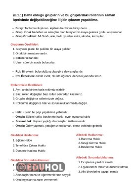 6. Sınıf Sosyal Bilgiler Gruplar ve Rollerimiz Ders Notu