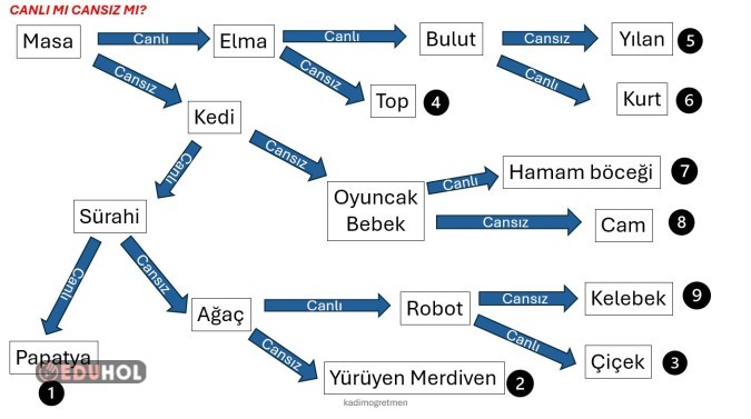 3. Sınıf Fen Bilimleri - Canlı ve Cansız Varlıklar