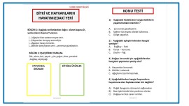 3. SINIF HAYAT BİLGİSİ - HAYVANLARIN VE BİTKİLERİN HAYATIMIZDAKİ ÖNEMİ
