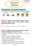 3. SINIF HAYAT BİLGİSİ MEYVELER VE SEBZELER