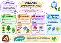 Fen Bilimleri Canlıların Sınıflandırılması