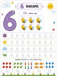 6 rakamı