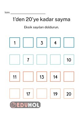 1er Sayalım